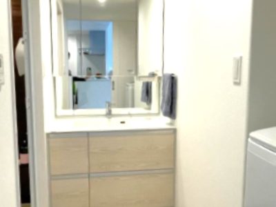 天井までの鏡がホテルライクな洗面化粧台(内装)