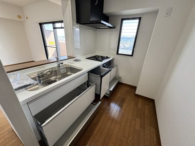 大容量引出し収納(キッチン) 大容量引出し収納(キッチン)