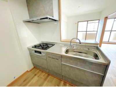 食器洗い乾燥機付きシステムキッチン新調(キッチン)